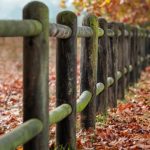 Jardin : quel type de clôture choisir ?