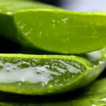 Faites une cure d’aloe vera !