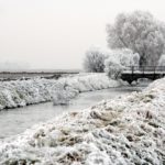 Neige en Alsace et à Strasbourg