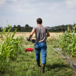 A Génissac, un véritable incubateur d’entreprises néo-agricoles voit le jour