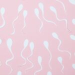 Du sang dans le sperme : faut-il s’inquiéter ?