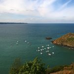 Faire un voyage naturaliste responsable sur les côtes bretonnes
