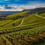 L’importance de mettre en valeur les terroirs français