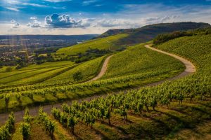 les terroirs français