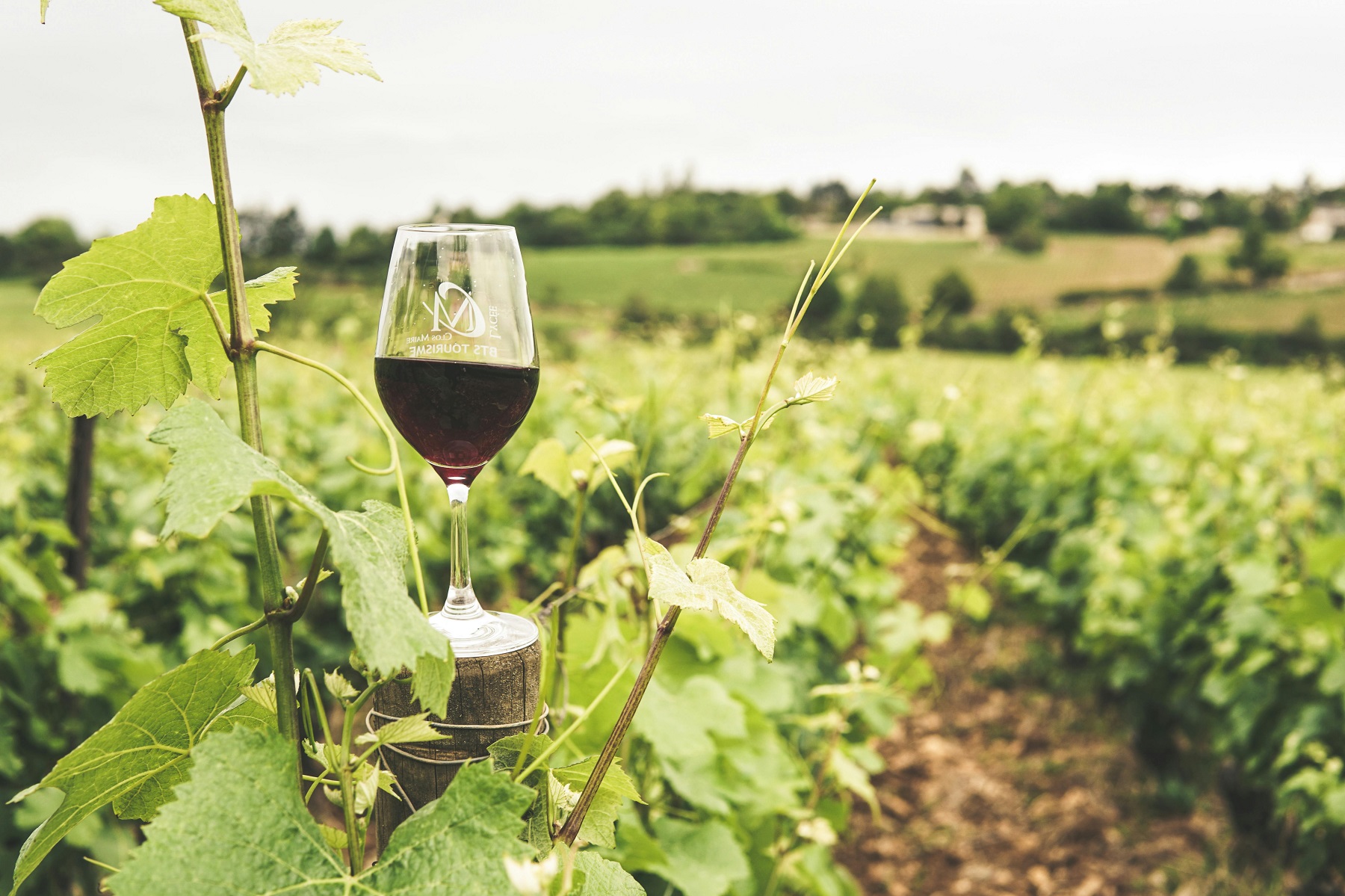 la france regorge de petits choses qu on aime