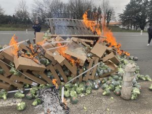 colere agriculteurs contre mercosur