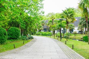 Chemin pavé dans un parc vert avec arbres et palmiers.