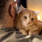 Comment Agria accompagne les propriétaires d’animaux au quotidien ?
