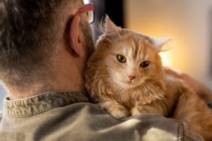 Un homme vu de dos tient tendrement un chat à poils longs de couleur rousse posé sur son épaule.